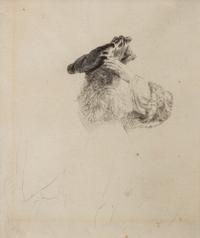 Old Man shading his Eyes with his Hand , ca. 1639