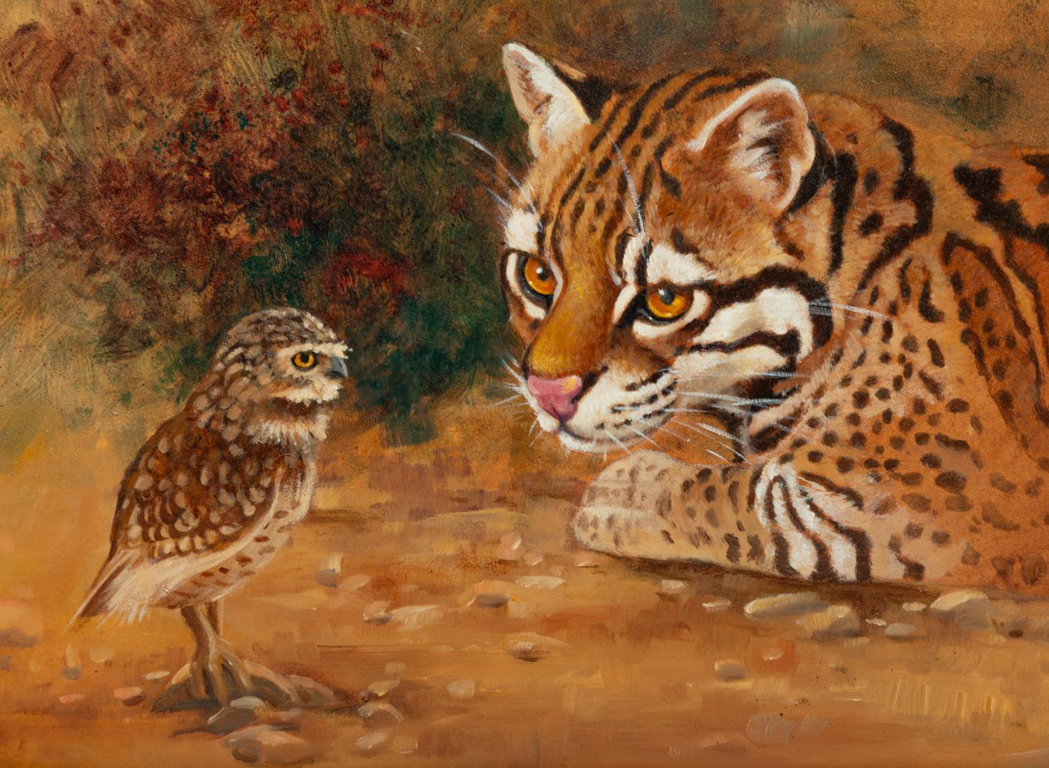 The Owl and .....! , 2003