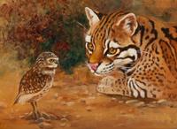 The Owl and .....! , 2003
