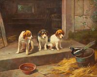 Three Puppies