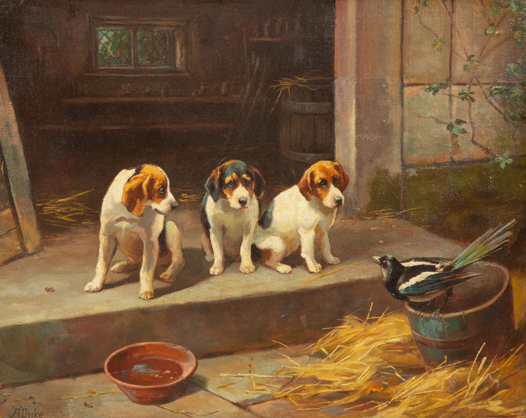 Three Puppies