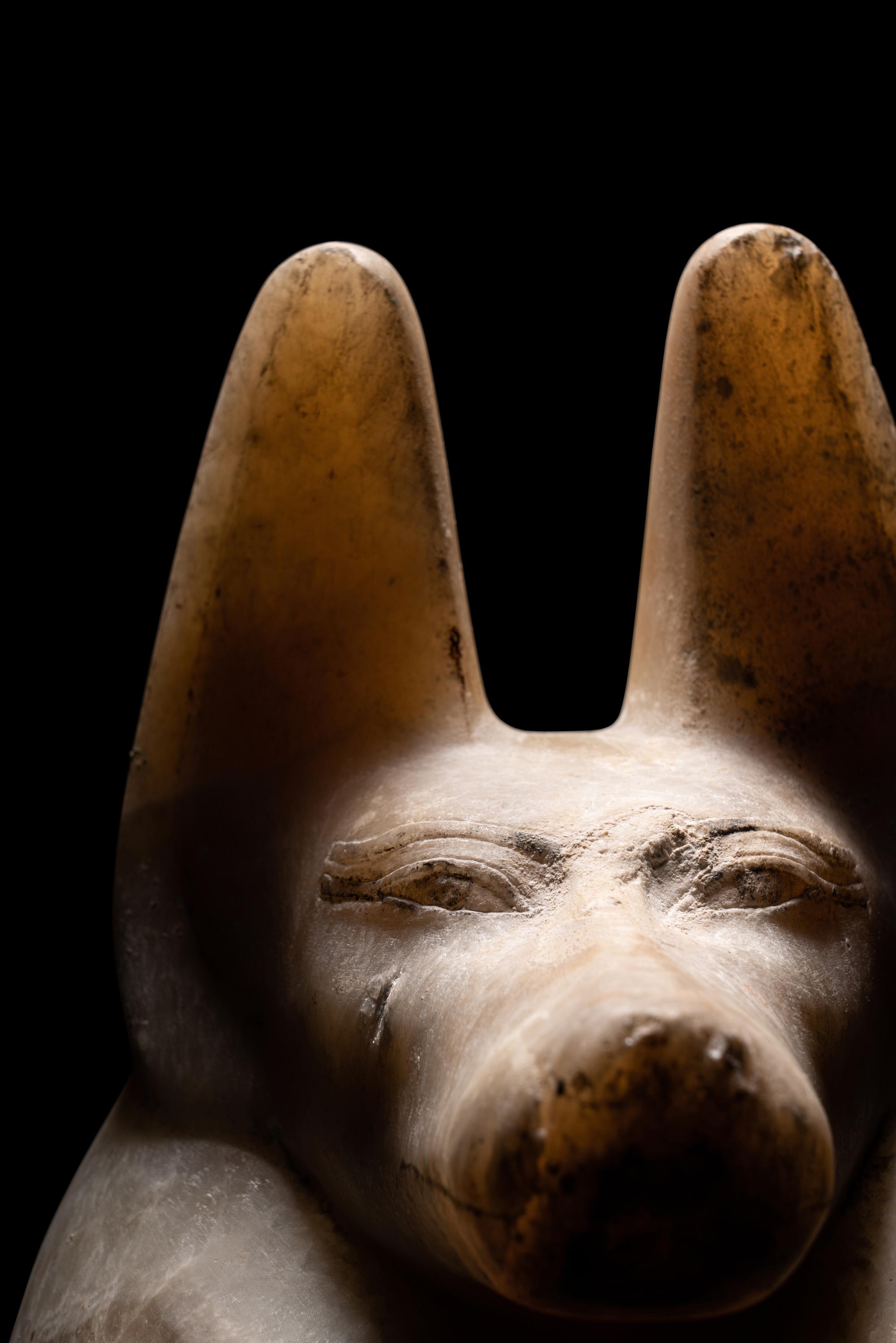 An Egyptian Alabaster Head of a Jackal