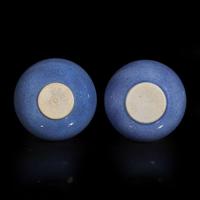 A pair of Chinese powder blue-glazed bottle vases 洒蓝地赏瓶一对 Kangxi period ???