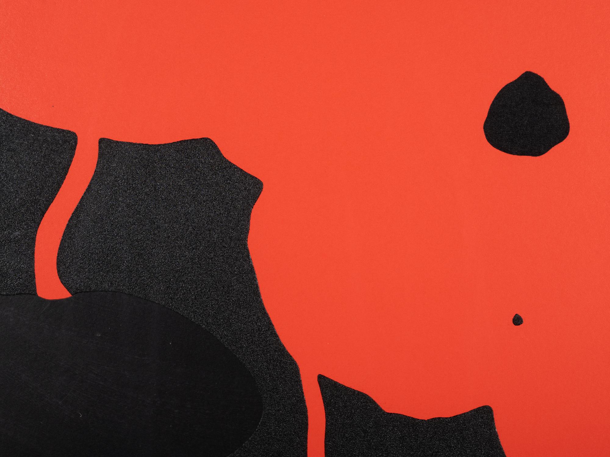 Poppies: Red and Black