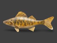 A Carved and Painted Wood Walleye Decoy