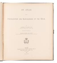 [BOTANY -- PLANT HYBRIDIZATION]. A group of 25 works, including:
