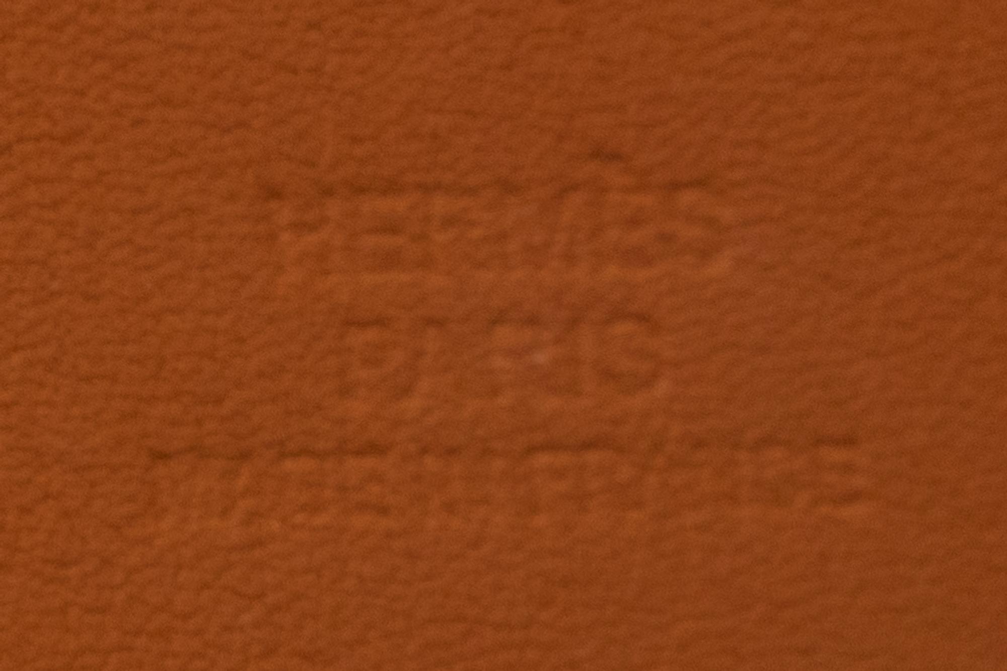 Hermès Ostrich Cuff, 2007