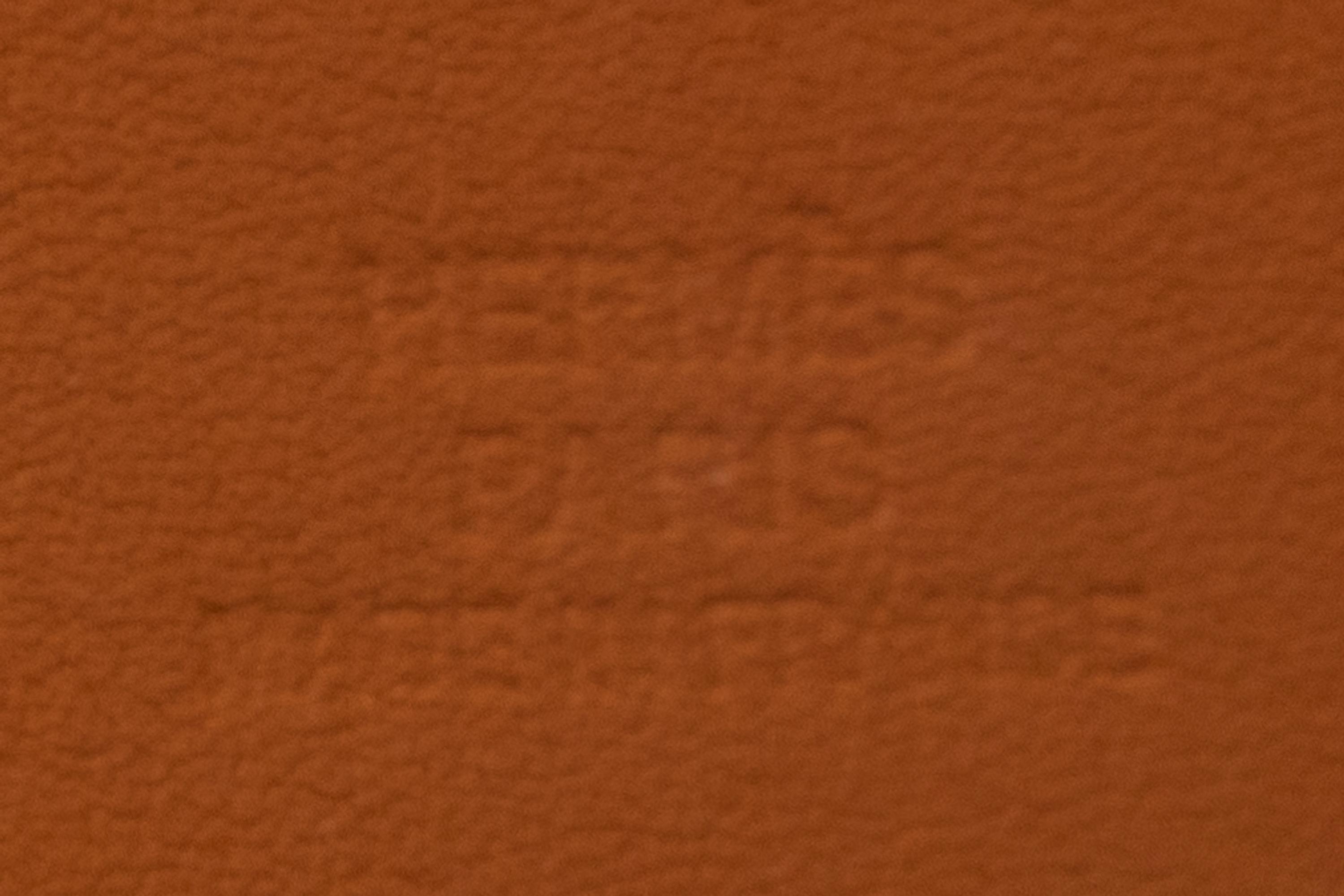 Hermès Ostrich Cuff, 2007