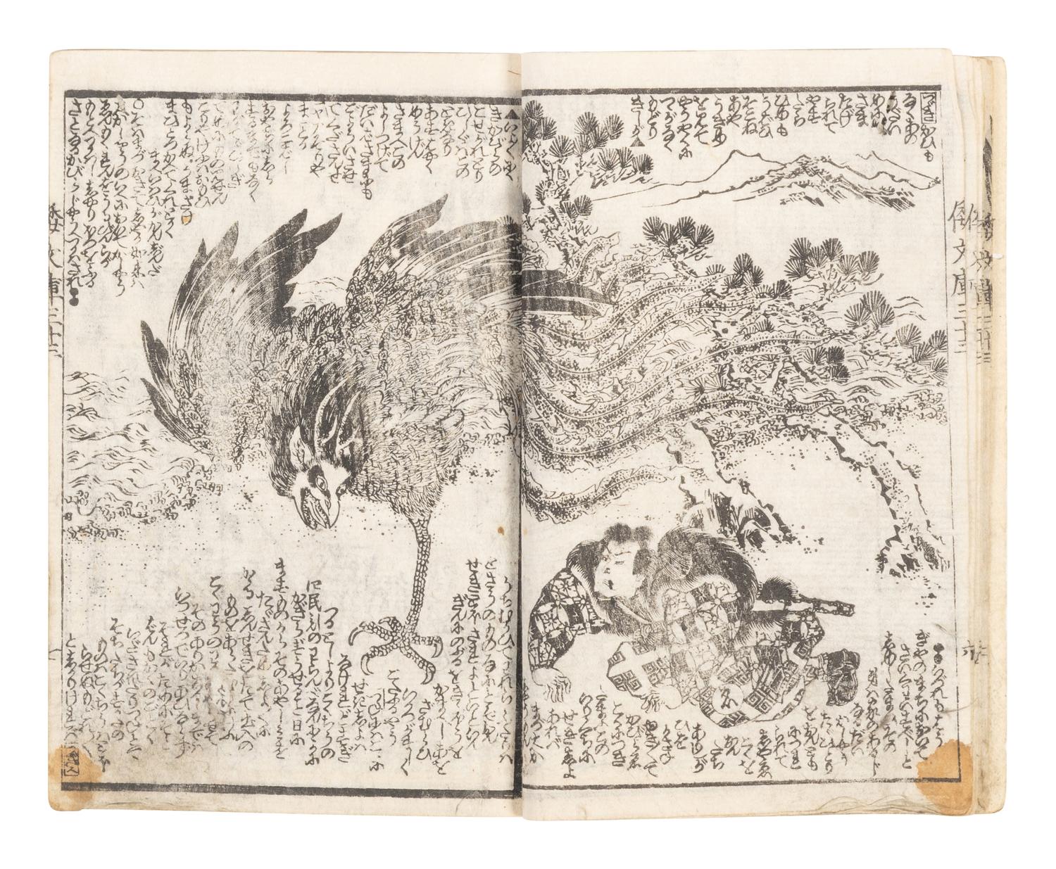 15 Illustrated Books and Loose Leaves