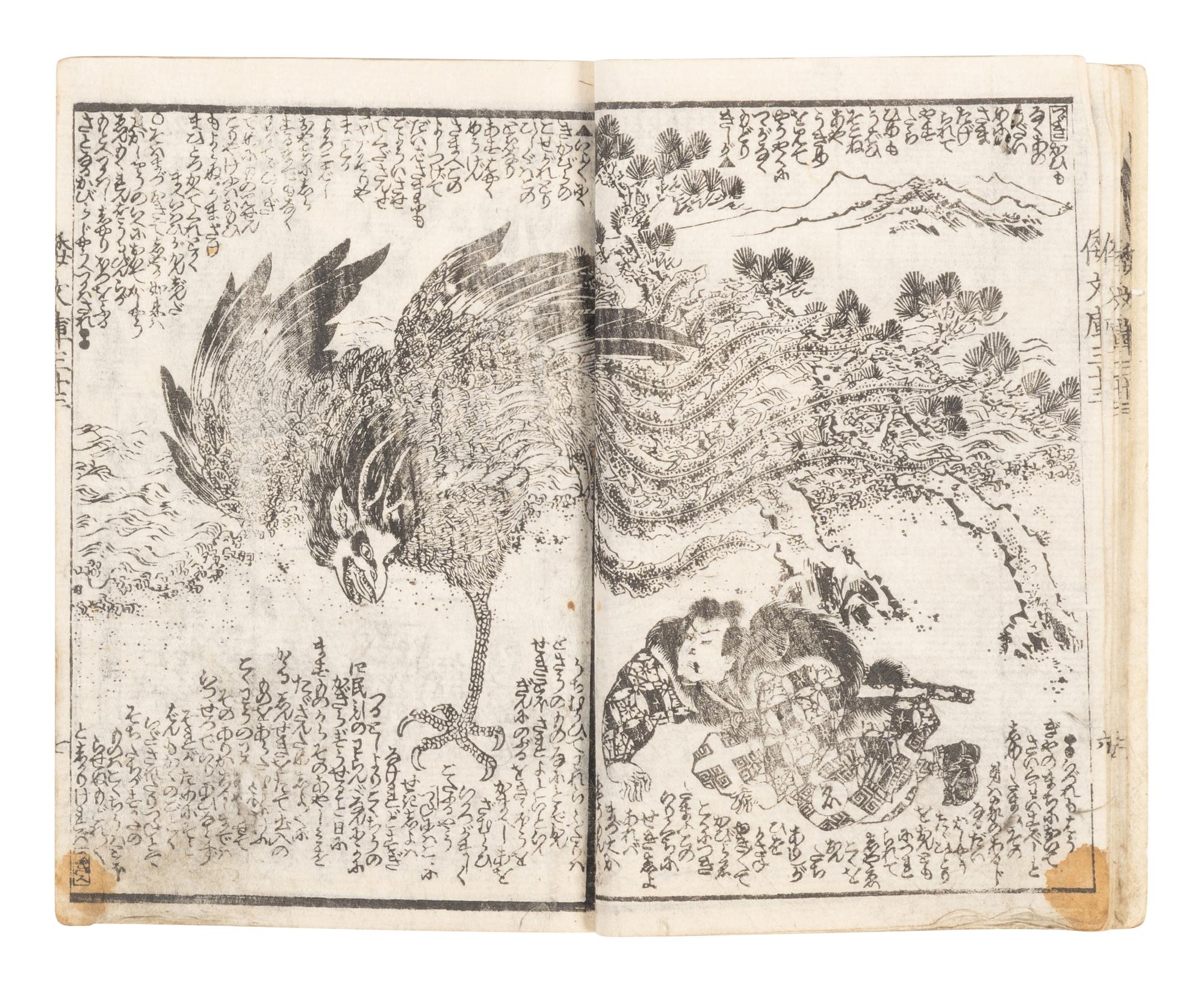 15 Illustrated Books and Loose Leaves