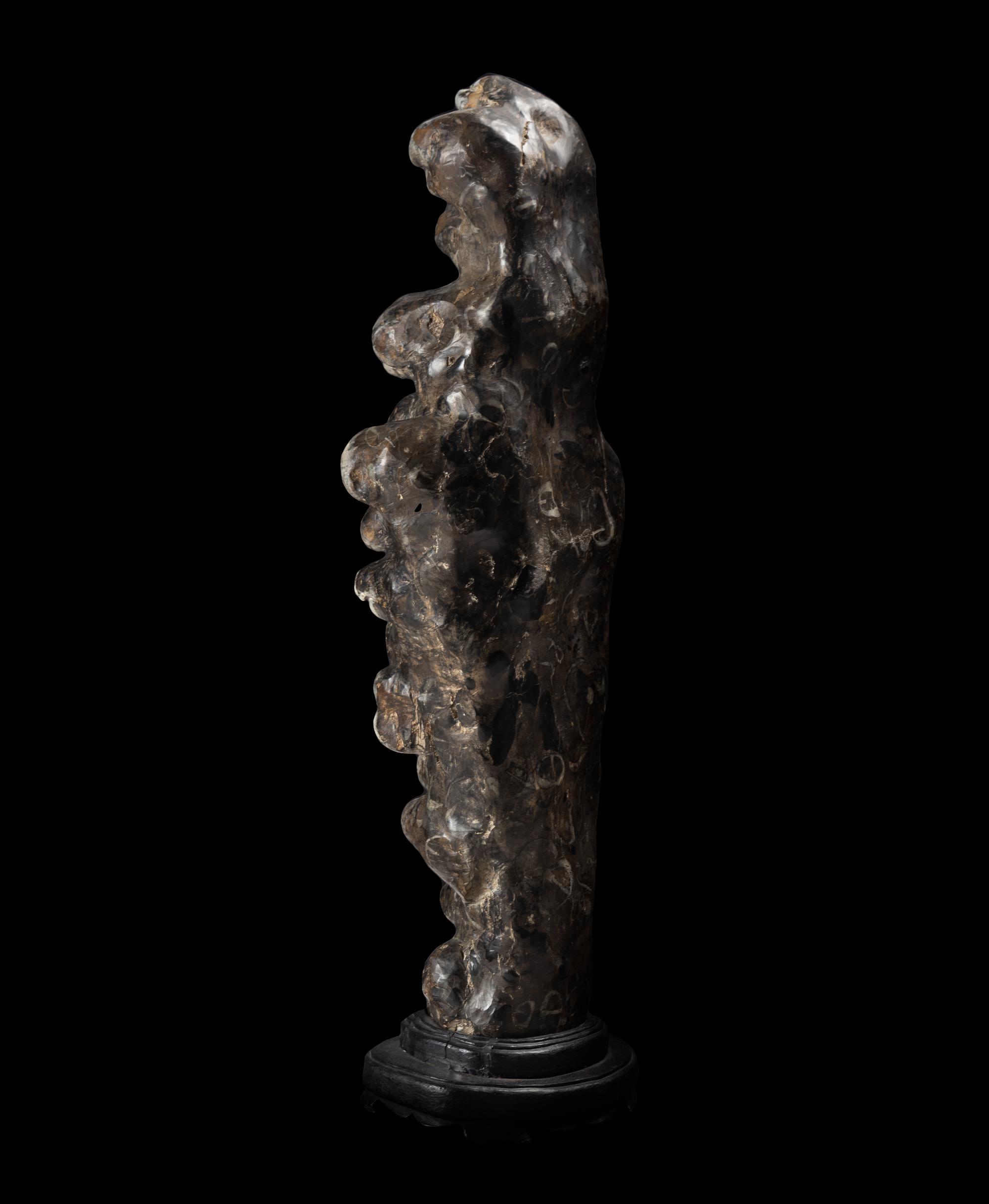 A Chinese Scholar's Rock