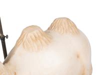 A Pair of Carved Marble Camels
