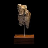 A Roman Bone Fragment with Fortuna