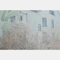 White House that is Blue