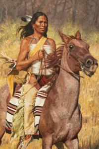 Cheyenne , 1993