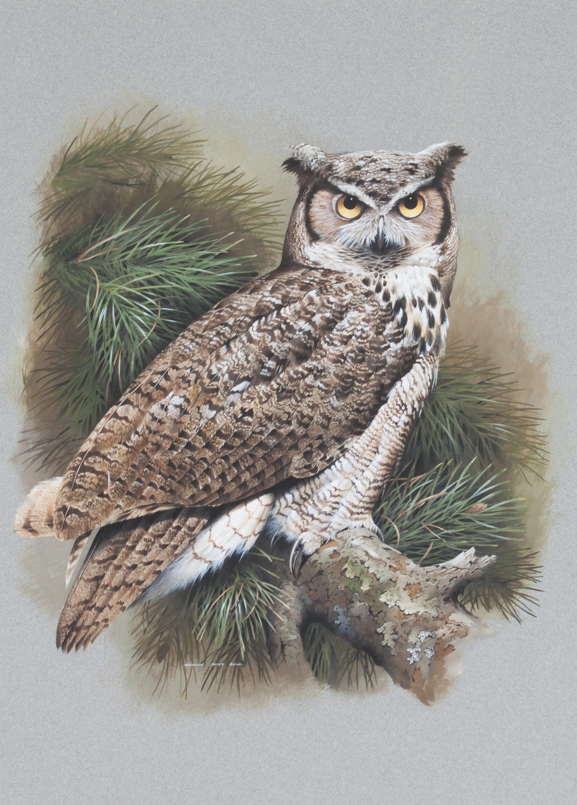 Terance James Bond, (British, b. 1946), Great Horned Owl