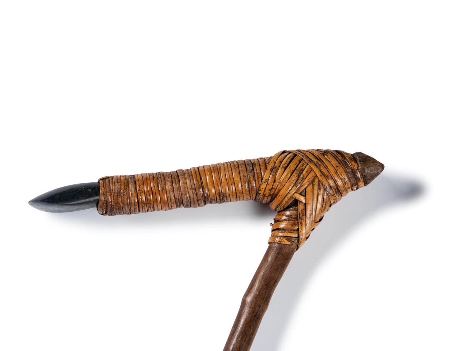 Two Asmat Adze