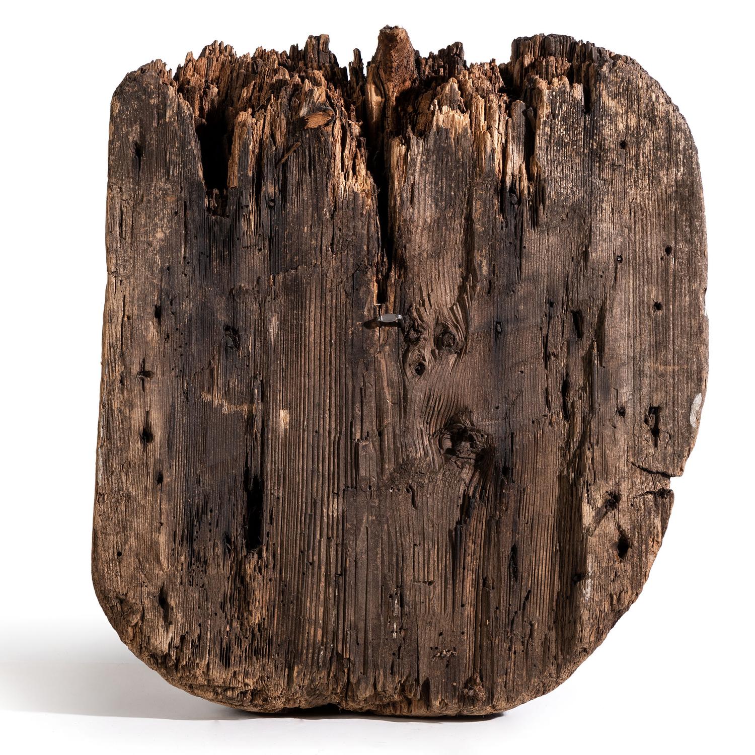 Northwest Coast Totemic Fragment