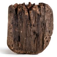 Northwest Coast Totemic Fragment