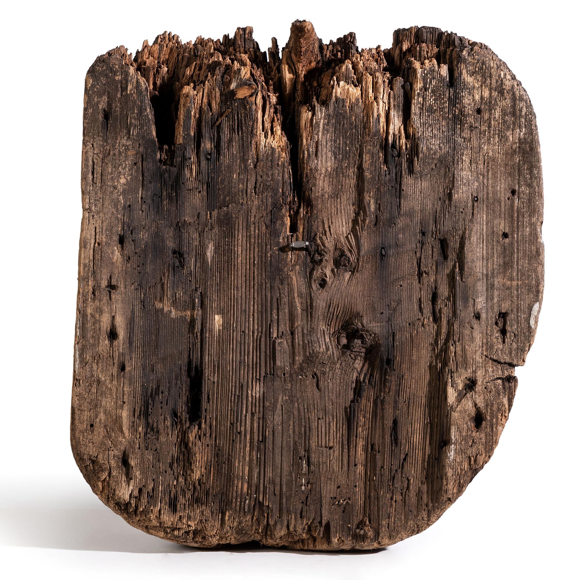 Northwest Coast Totemic Fragment