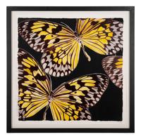 Monarchs