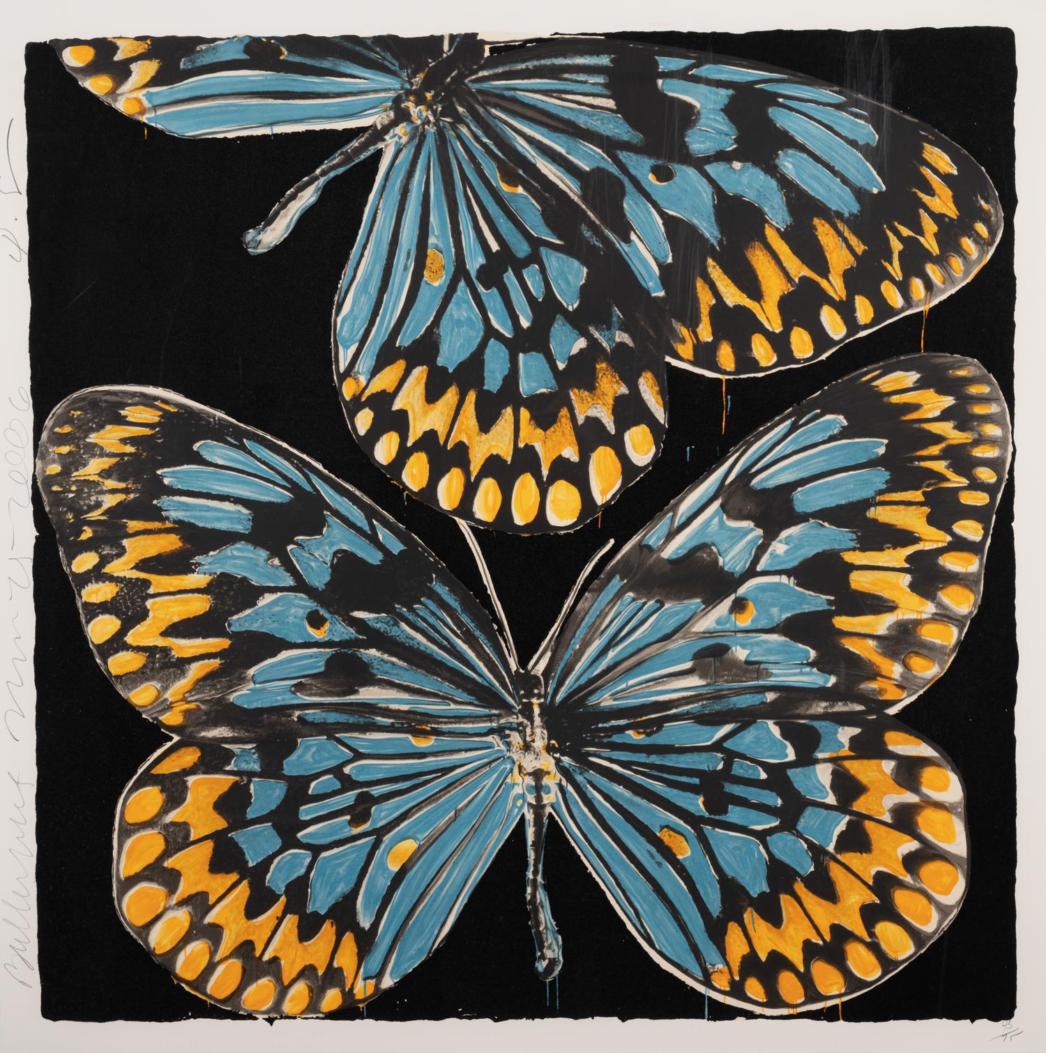 Butterflies