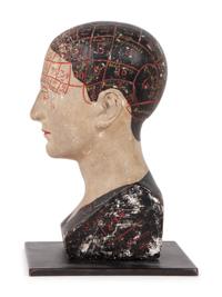 A Chalkware Phrenology Head