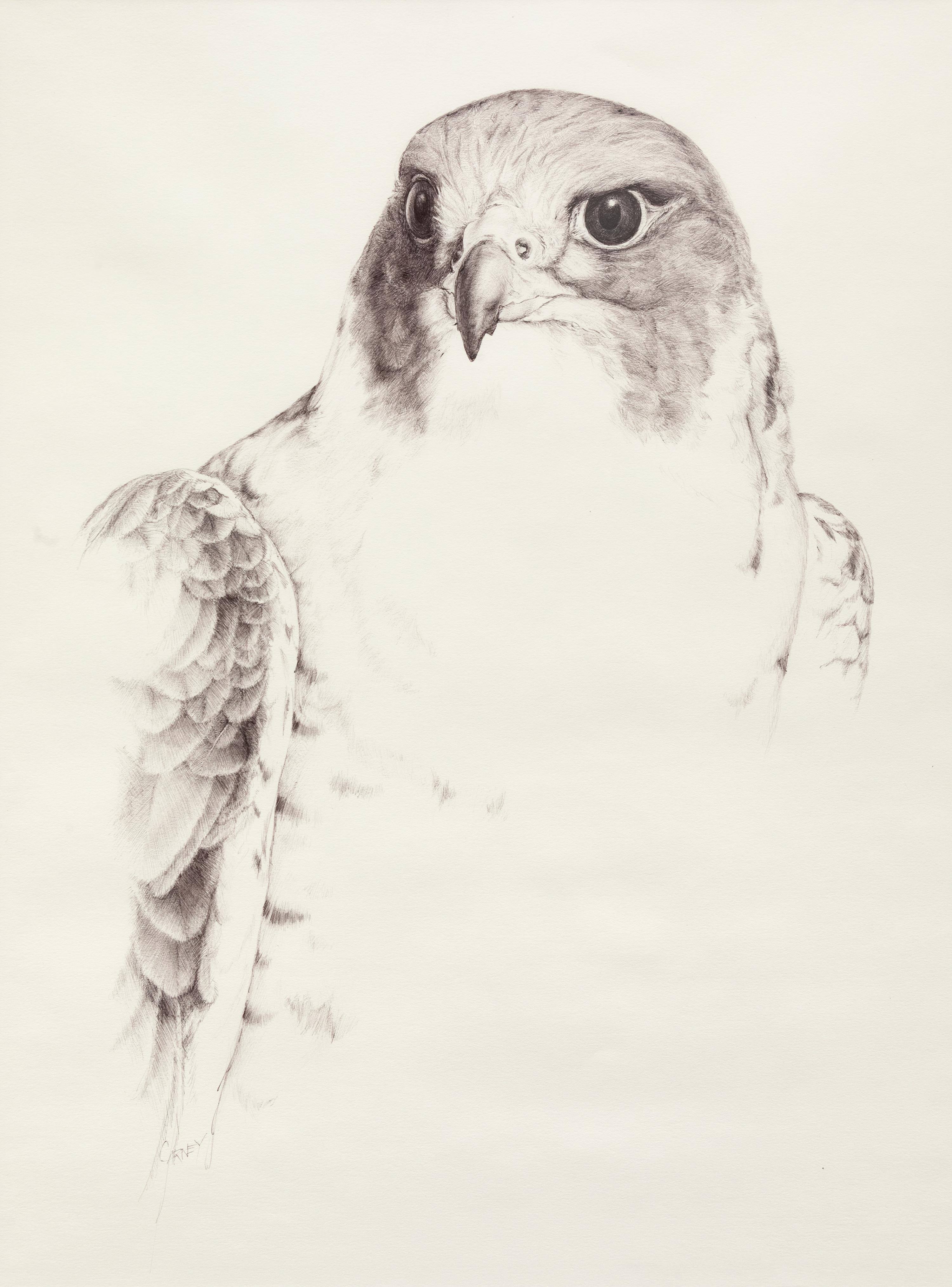 Falcon Crest