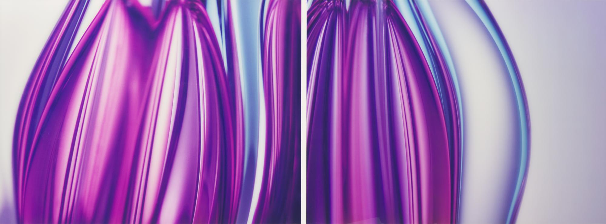 Hans Kotter (German, b. 1966) — Transmutation 02 and Transmutation 03 (diptych) , 2005