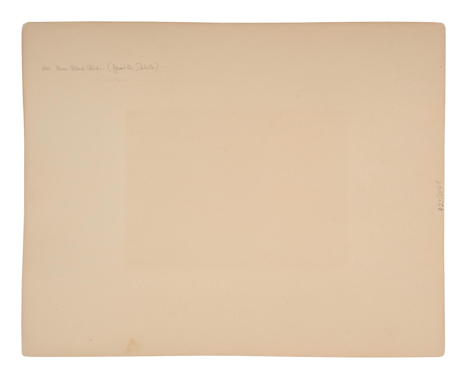 [SHINDLER, Antonio Zeno (1823-1899), photographer]. Photograph of Iron Black Bird, Yankton Dakota. [Washington, DC, 1867].