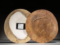 Southern Plains Shield and Cover