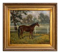 Horse Standing