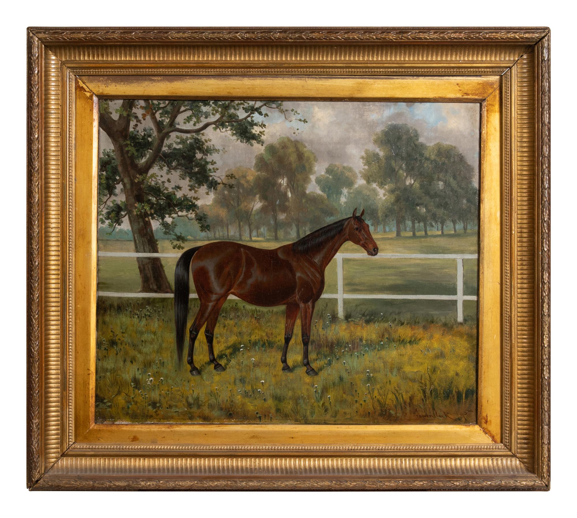 Horse Standing