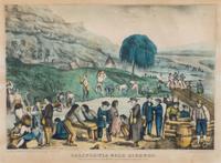 [GOLD RUSH]. California Gold Diggers. Hartford, CT: Kelloggs & Comstock, ca 1850s.