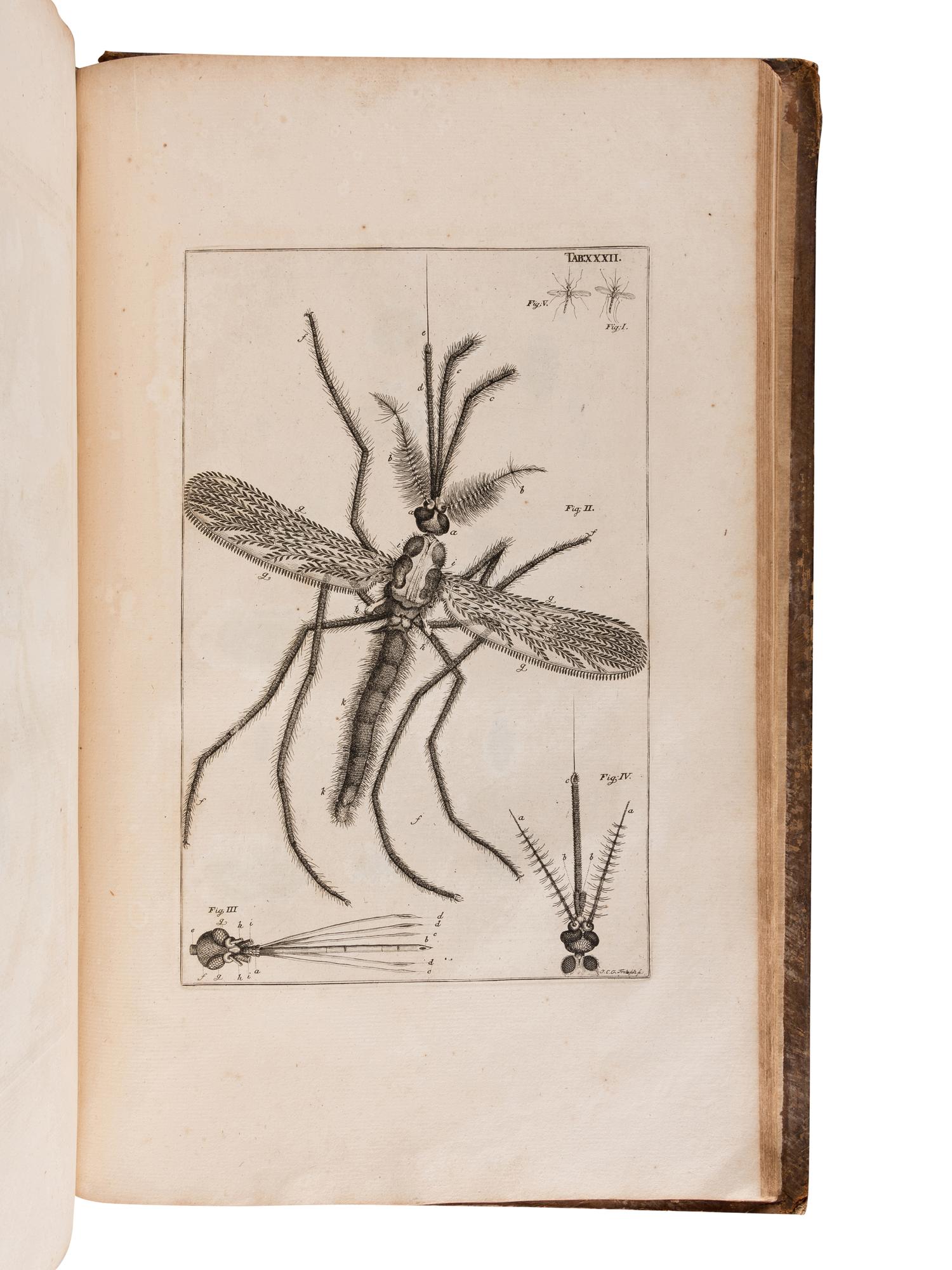 SWAMMERDAM, Jan (1637-1680). The Book of Nature; or, The History of Insects: Reduced to Distinct Classes, Confirmed by Particular Instances, Displayed in the Anatomical Analysis of Many Species .... London; for C. G. Seyffert, 1758.