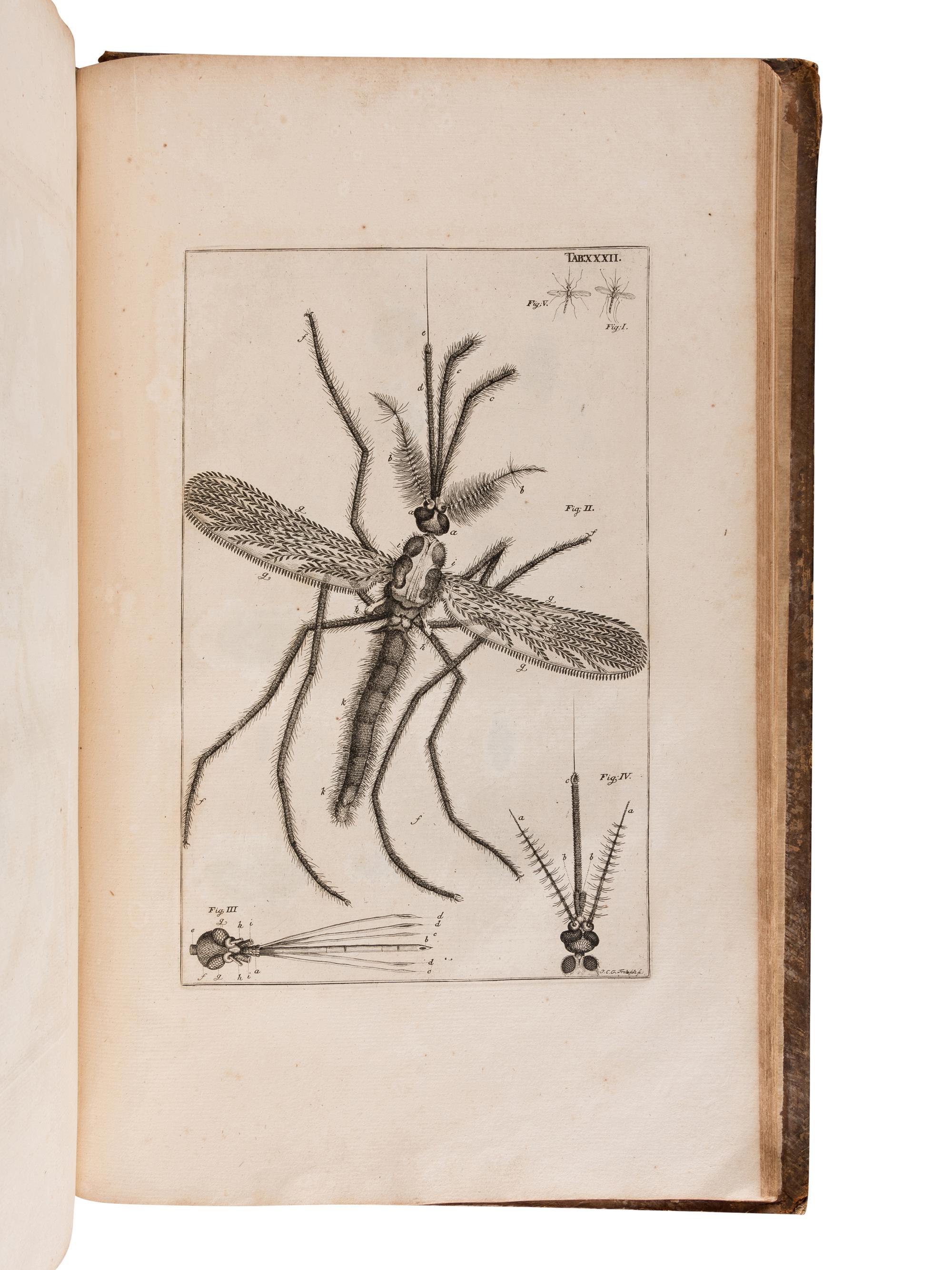 SWAMMERDAM, Jan (1637-1680). The Book of Nature; or, The History of Insects: Reduced to Distinct Classes, Confirmed by Particular Instances, Displayed in the Anatomical Analysis of Many Species .... London; for C. G. Seyffert, 1758.