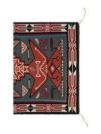 Navajo Teec Nos Pos Pattern Weaving / Rug