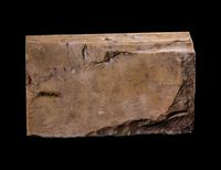 A Roman Giallo Antico Architectural Fragment