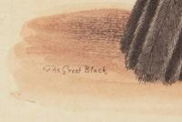 A Set of Twelve Hand-Colored Engravings of Parrots from A Natural History of Uncommon Birds by George Edwards (English, 1694-1773)
