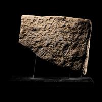 An Egyptian Limestone Relief Fragment