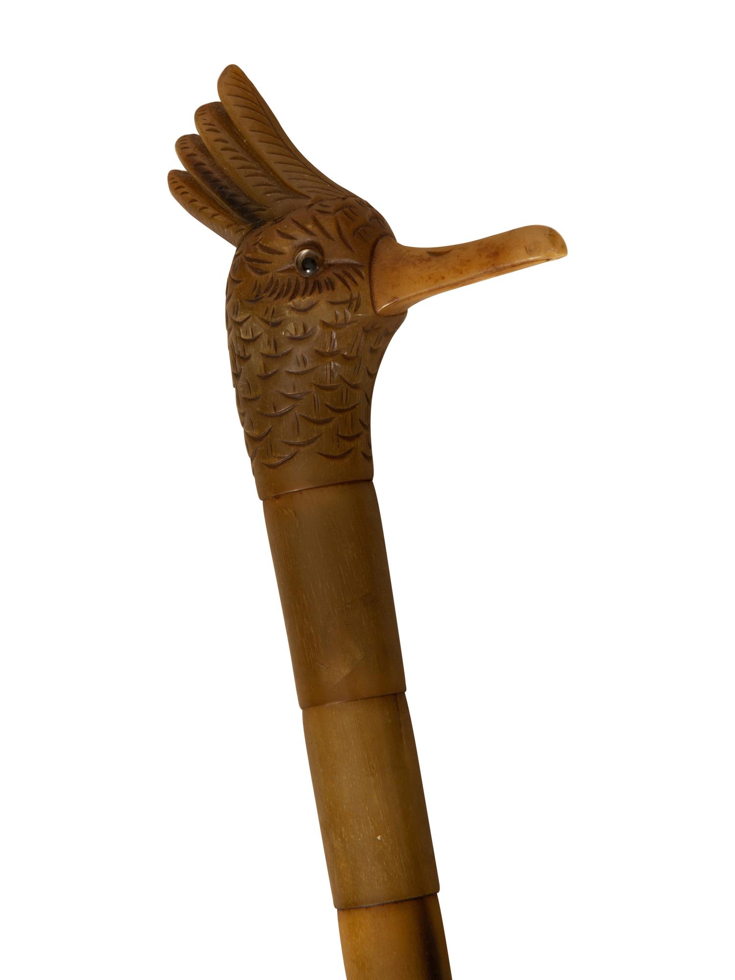 A Group of Canes and Walking Sticks