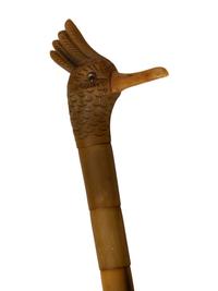 A Group of Canes and Walking Sticks