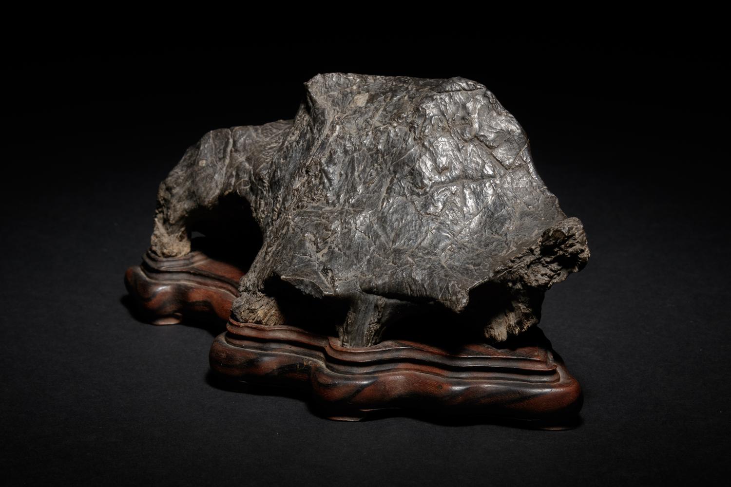 A Petrified Wood Scholar's Rock