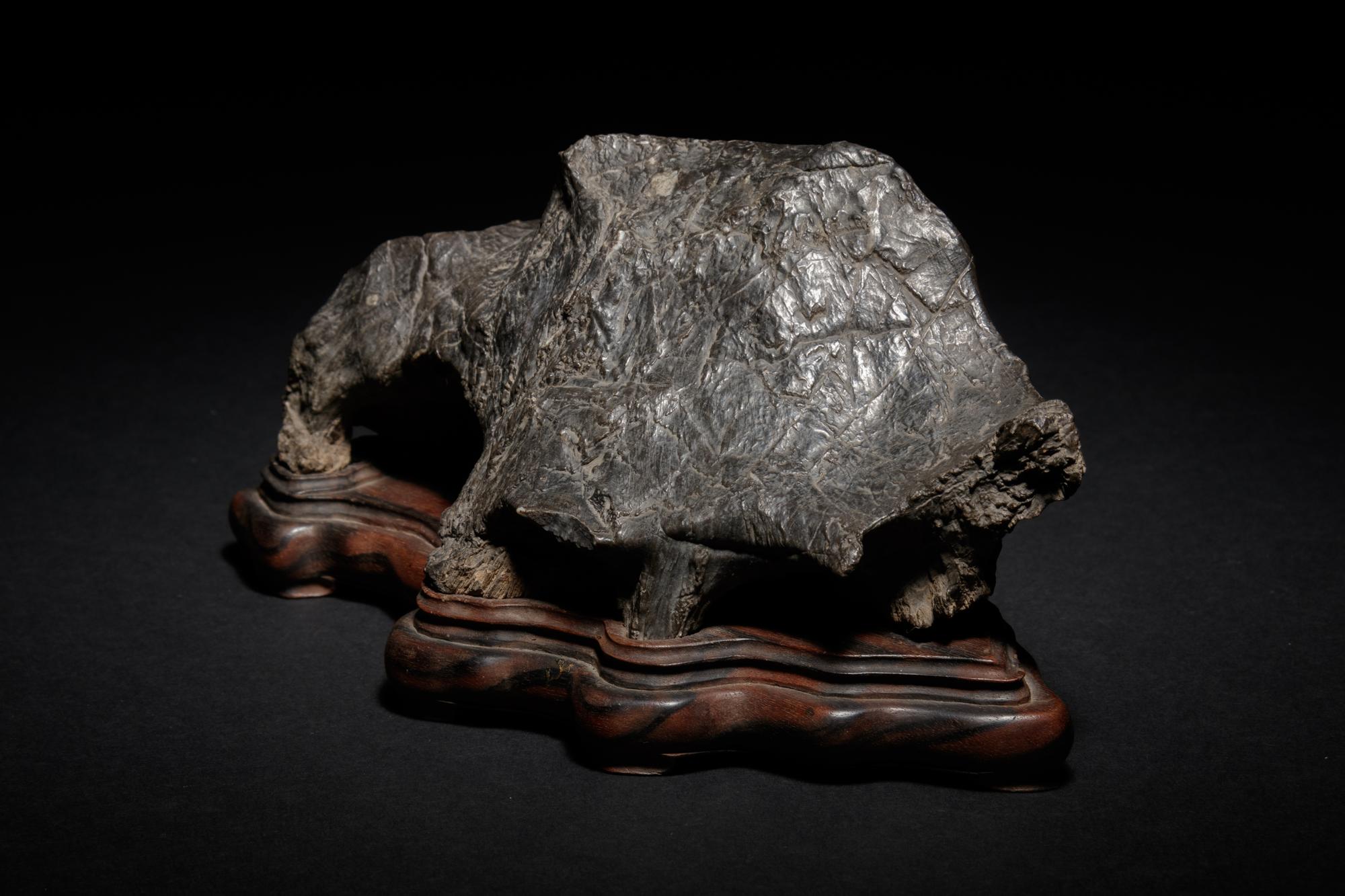 A Petrified Wood Scholar's Rock