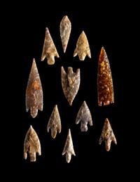 101 Neolithic Flint Points