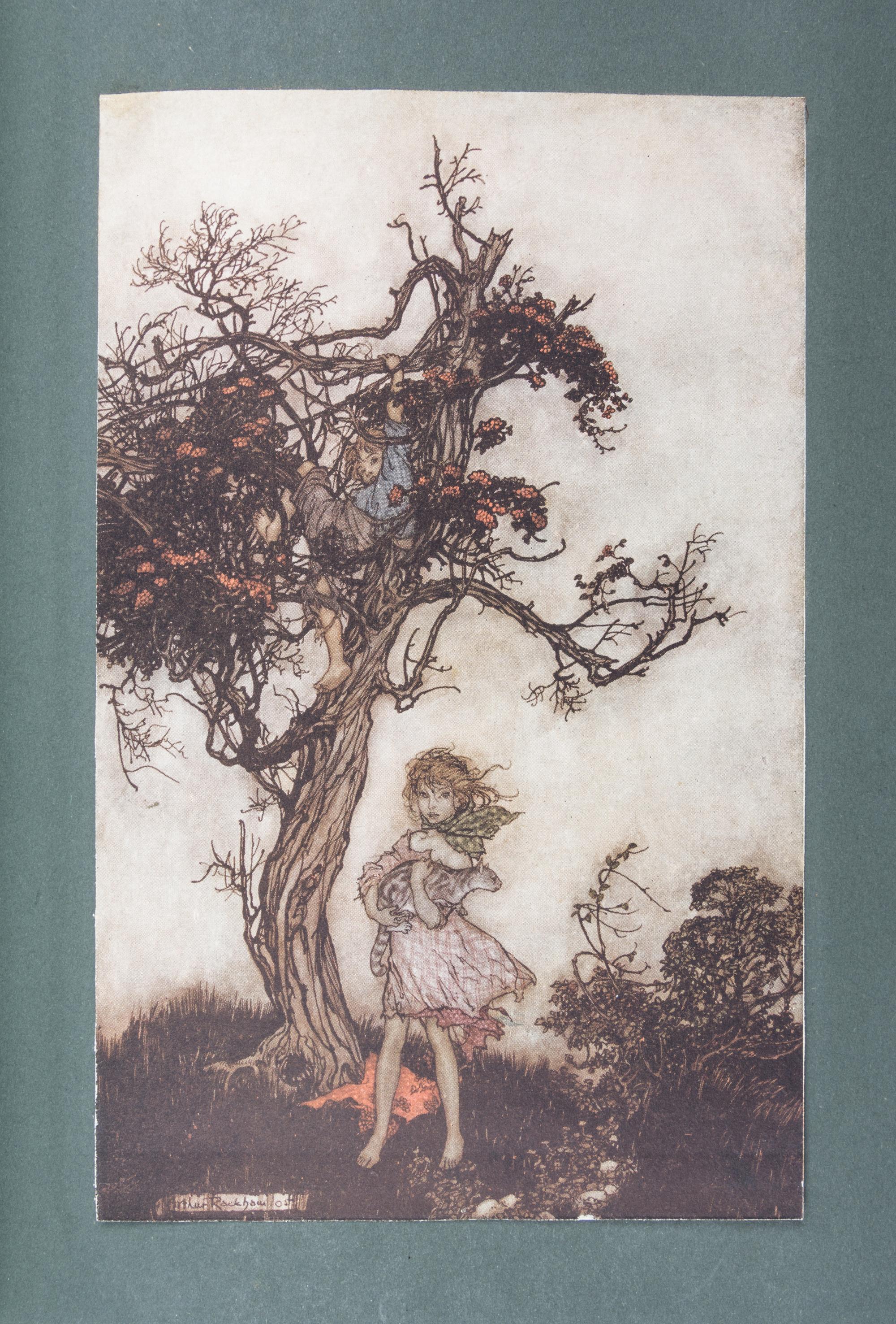 (WEITZ-COLEMAN; RACKHAM, ARTHUR) IRVING, WASHINGTON. Rip Van Winkle. NY, 1905. Finely bound by Herbie Weitz.