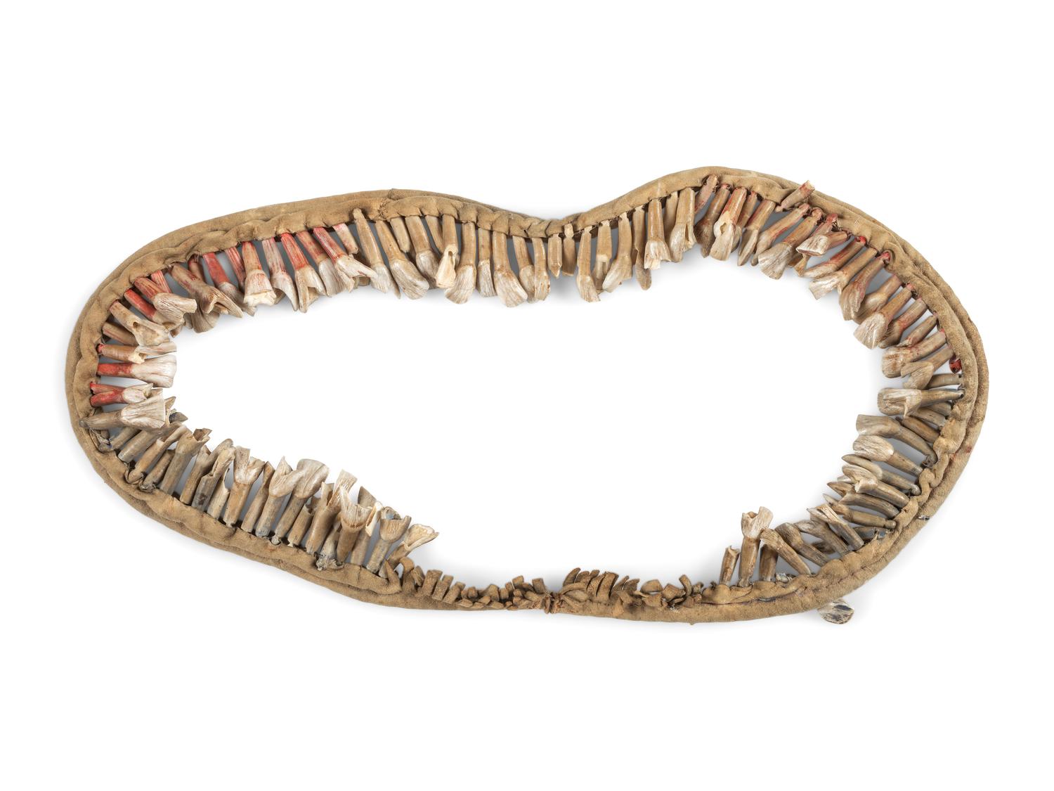 Plains Buffalo Tooth Necklace