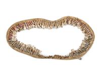 Plains Buffalo Tooth Necklace