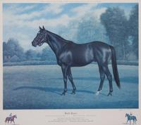 Nineteen Equestrian Prints