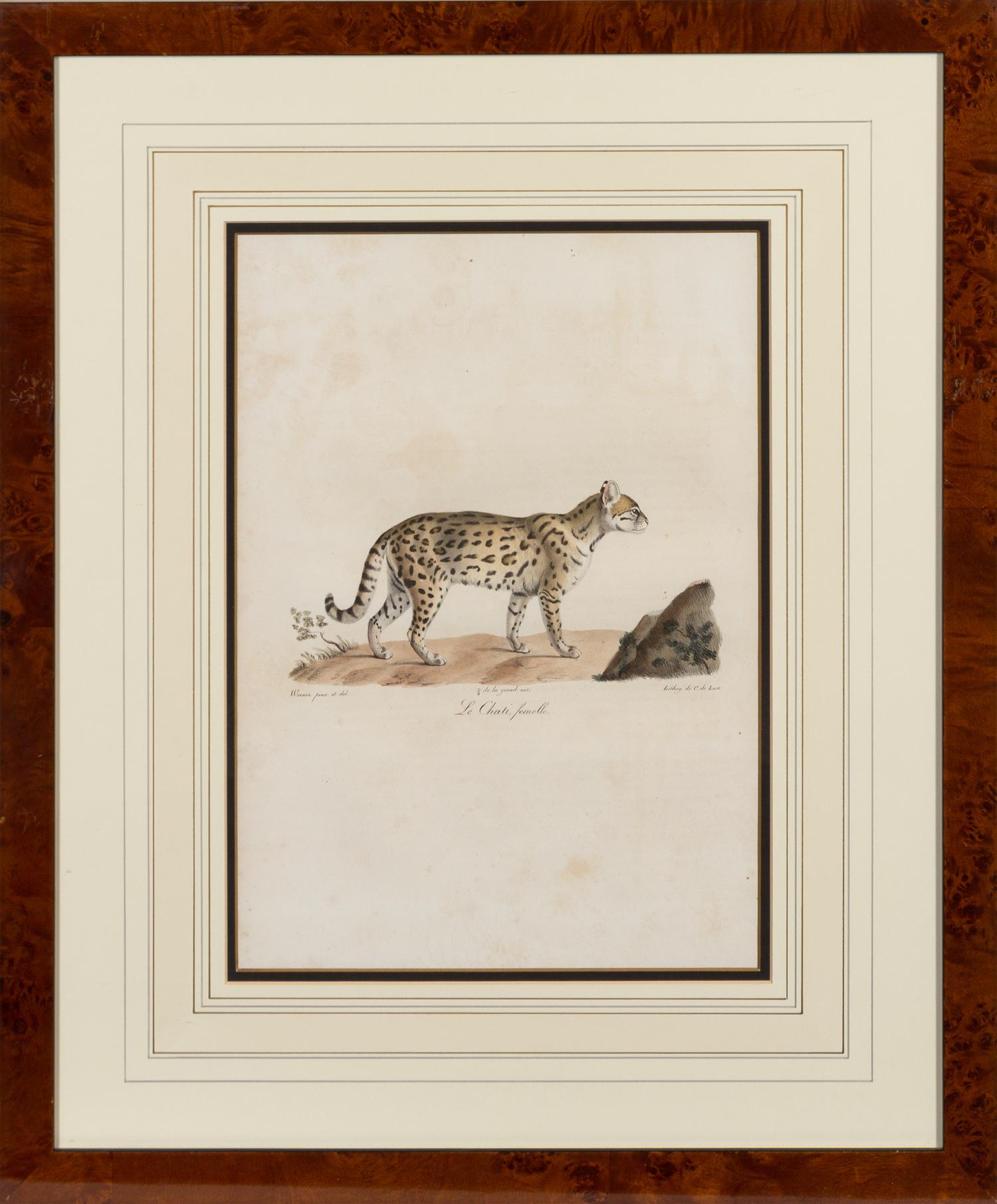 A Set of Six Animalier Prints 15 3/4 x 10 3/4 inches. — 19TH CENTURY